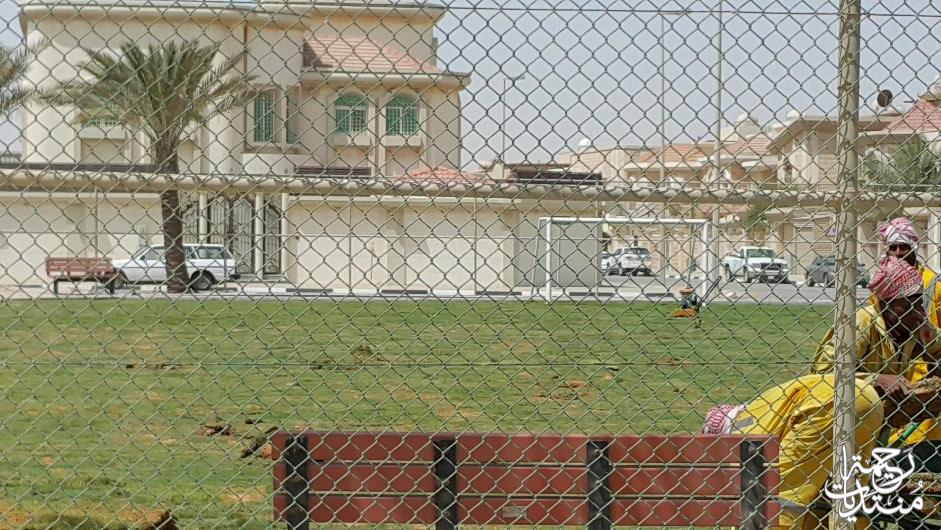 بالصور زراعة ملعب النعيم